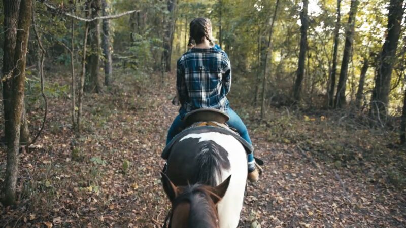 Horseback Riding at River Man Trail Rides