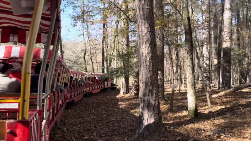 Train Ride at Beavers Bend Depot & Stables